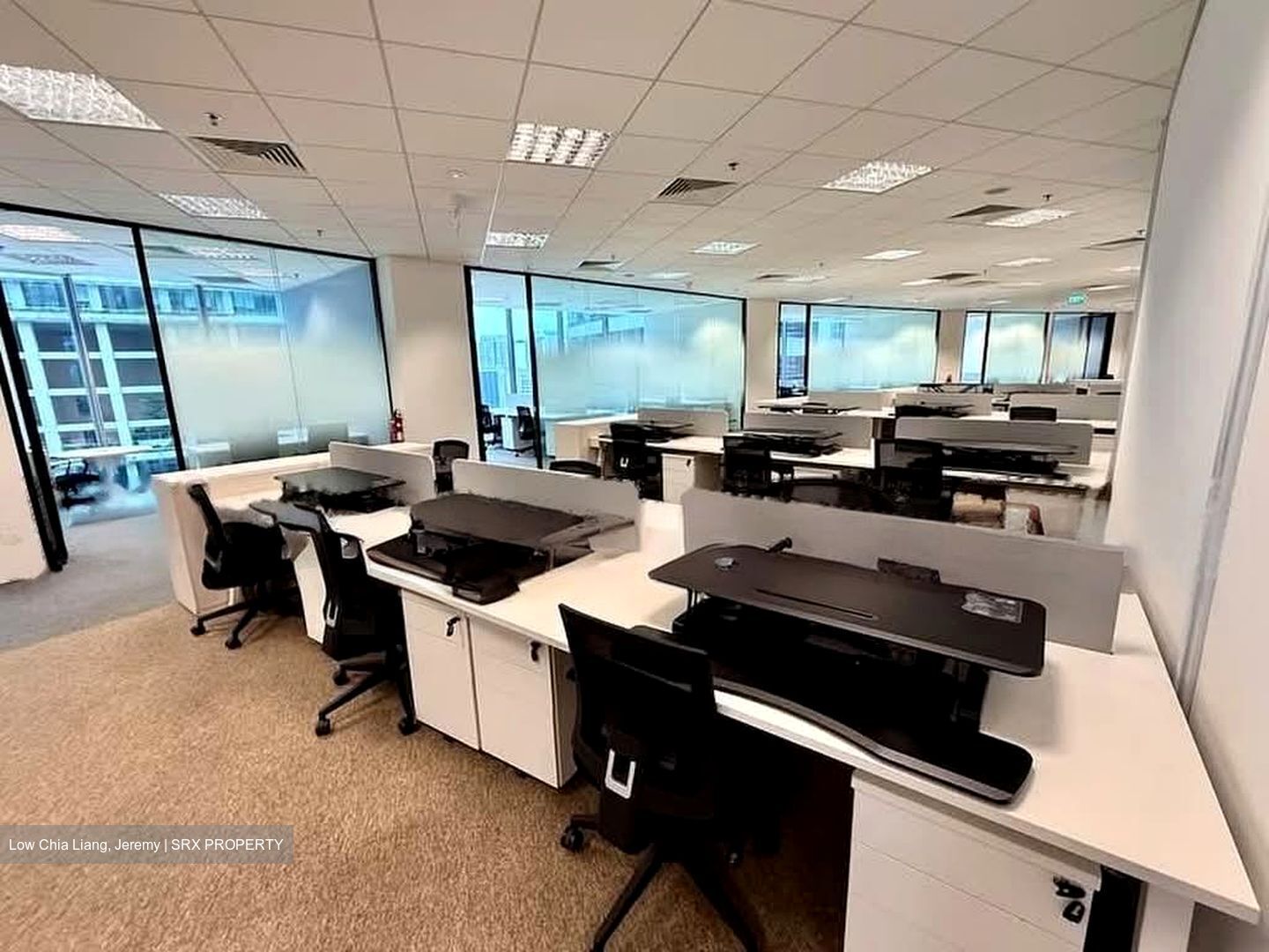 PLUS (D1), Office #599081401